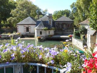 DSCN0556.JPG