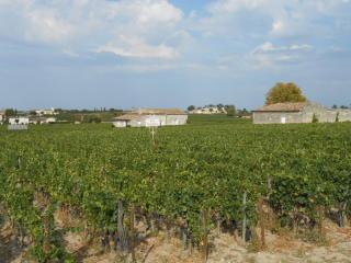 DSCN0914.JPG