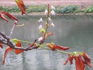 IMG_4054.JPG