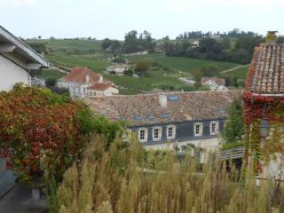 DSCN0909.JPG