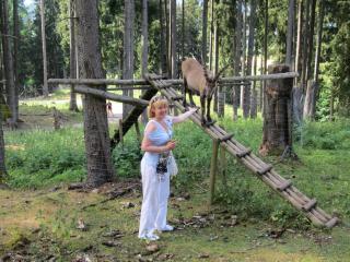 IMG_4166.JPG