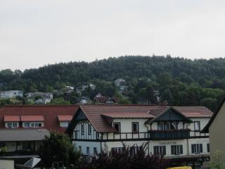 IMG_3761.JPG