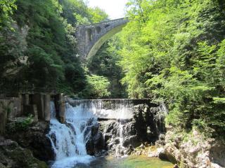 IMG_4036.JPG