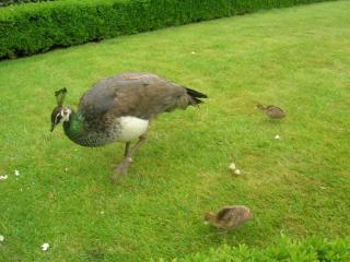 DSCN4614.JPG