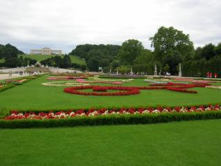 DSCN4203.JPG