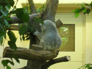 DSCN5971.JPG