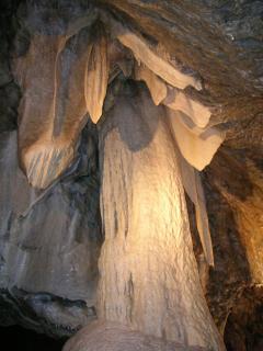 DSCN5125.JPG