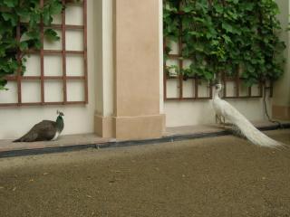 DSCN4611.JPG