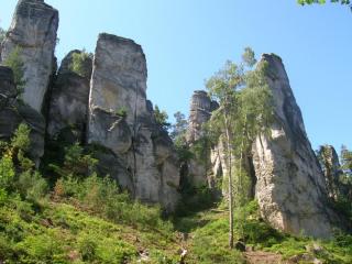 DSCN4540.JPG