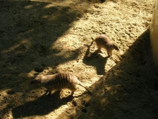 DSCN5975.JPG