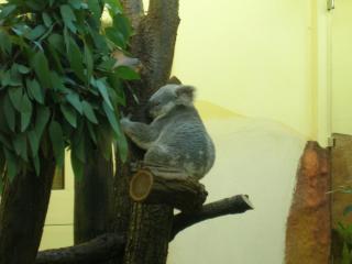 DSCN5973.JPG
