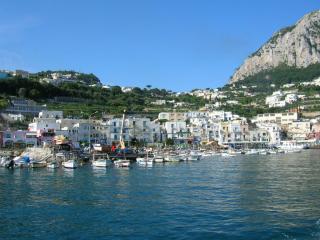 DSCN0347.JPG