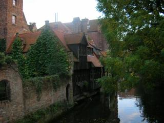 DSCN1484.JPG