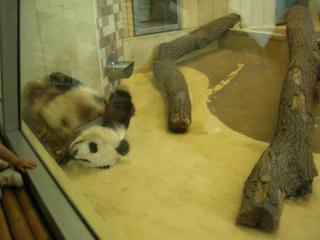DSCN5967.JPG