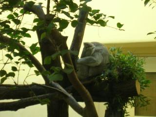 DSCN5970.JPG
