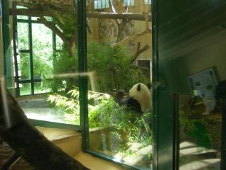 DSCN5969.JPG