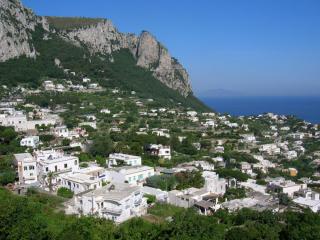 DSCN0350.JPG
