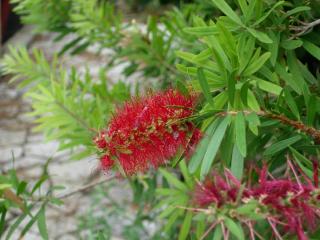 DSCN5749.JPG