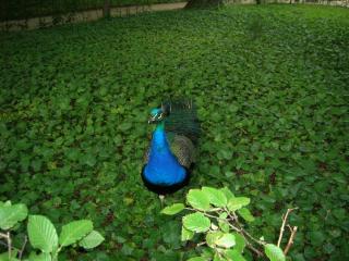 DSCN6105.JPG