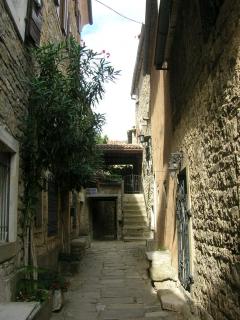 DSCN5560.JPG