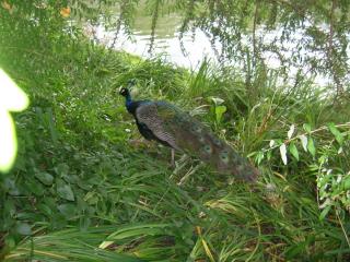 DSCN6109.JPG