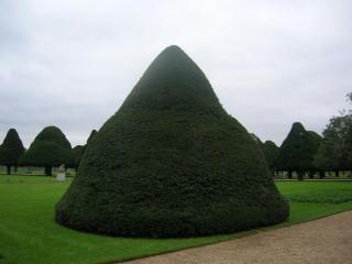 DSCN1798.JPG