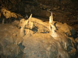 DSCN5118.JPG