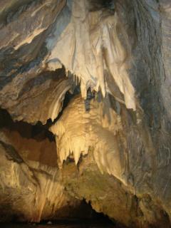 DSCN5131.JPG