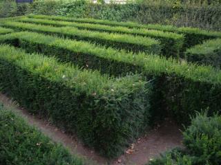 DSCN4217.JPG