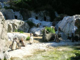 DSCN5966.JPG