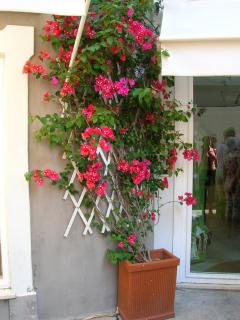 DSCN0356.JPG