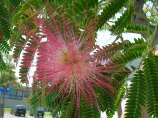 DSCN0661.JPG
