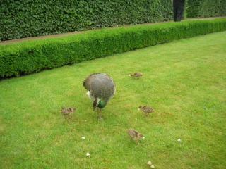 DSCN4613.JPG