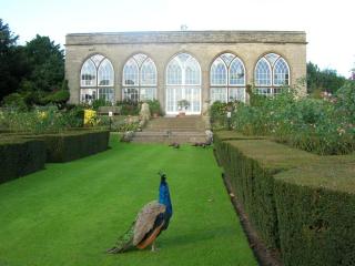 DSCN1611.JPG