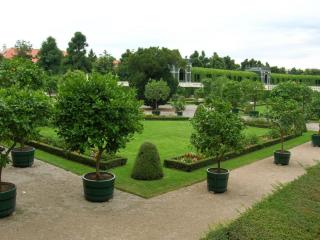 DSCN4225.JPG