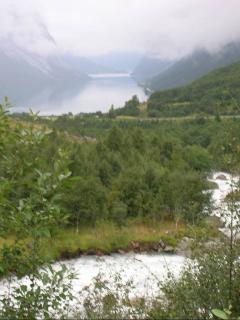 флом 8.jpg