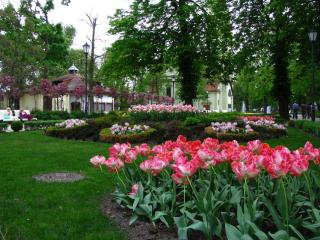 IMG_1652.JPG