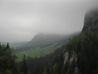 IMG_7597.JPG