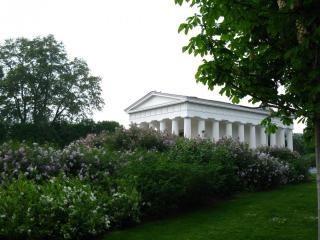 IMG_6837.JPG