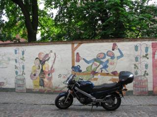 IMG_1226.JPG