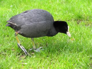 IMG_2014.JPG