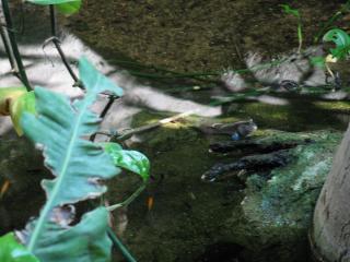 IMG_0504.JPG