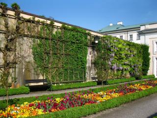 IMG_7017.JPG