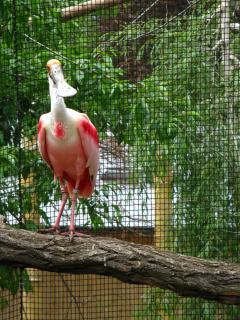 IMG_0591.JPG