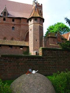 IMG_1423.JPG