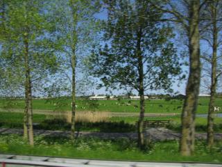 IMG_1882.JPG