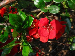 IMG_6733.JPG