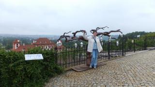 DSCF1744.JPG