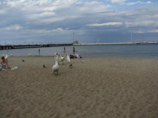 IMG_1625.JPG