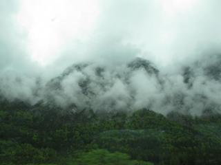 IMG_7549.JPG